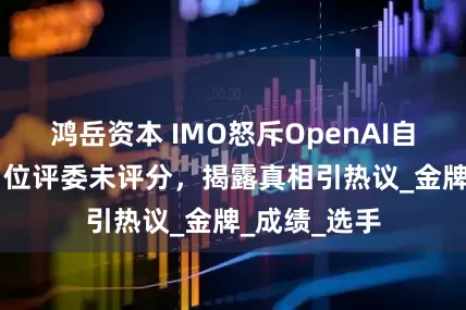 鸿岳资本 IMO怒斥OpenAI自封夺金，91位评委未评分，揭露真相引热议_金牌_成绩_选手